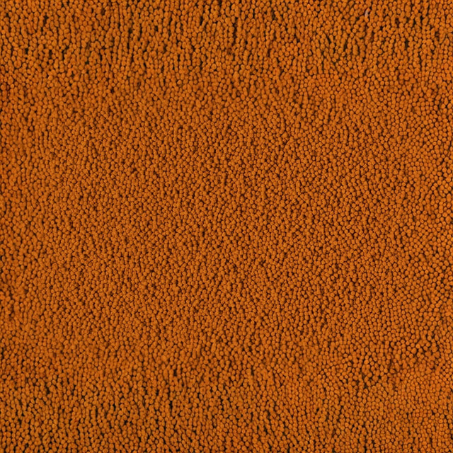 Close-up of Tetra Cichlid Colour Pellets showcasing vibrant orange color and fine texture, ideal for cichlid nutrition.