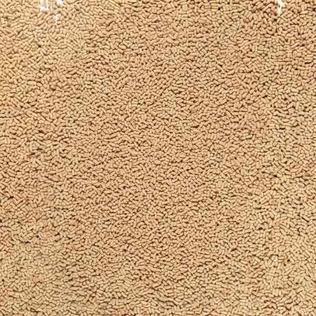 Close-up of Tetra Pond Food Sticks, a nutritious diet for pond fish, promoting growth and water quality.