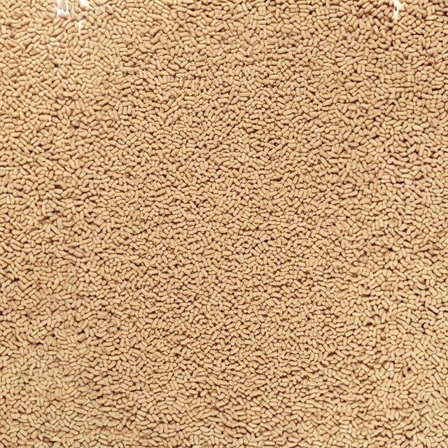 Close-up of Tetra Pond Food Sticks, a nutritious diet for pond fish, promoting growth and water quality.