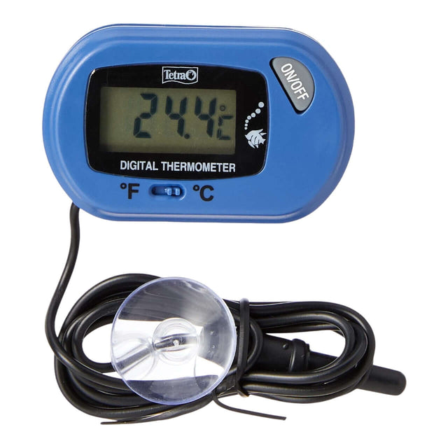 Tetra TH Digital Thermometer displaying water temperature with blue housing and sensor attached via suction cup.