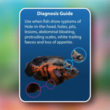 Diagnosis guide for NT Labs Octozin 250ml treatment of Hole-in-the-Head and Bloat in fish.