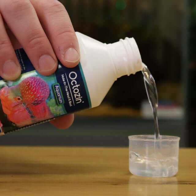 NT Labs Octozin 250ml being poured into a measuring cup for treating fish diseases.