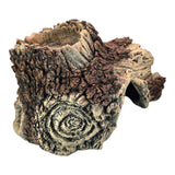 Ultra-realistic tree bark aquarium ornament with a hollow cave, perfect for aquatic and reptile habitats.