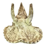 Triceratops skull aquarium ornament in beige/tan tones with realistic fossilized texture.