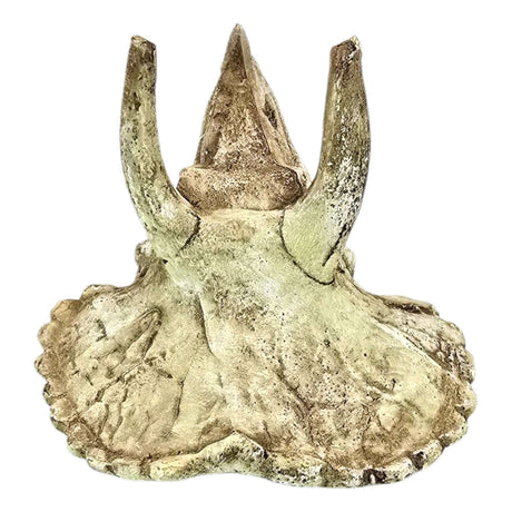 Triceratops skull aquarium ornament in beige/tan tones with realistic fossilized texture.