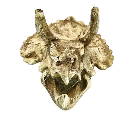 Triceratops Skull Aquarium Ornament in beige with textured surface, ideal for adding prehistoric charm to fish tanks.