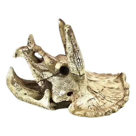 Triceratops skull aquarium ornament in light beige tone with detailed fossilized texture.