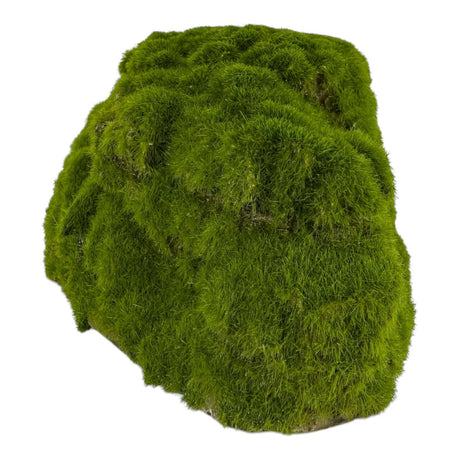 Moss-covered aquarium ornament rock, ideal for fish tanks and terrariums, enhancing natural aesthetics.