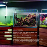 A well-set freshwater aquarium featuring UNS Controsand Maui, rocks, and various aquatic plants under LED lighting.