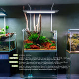 UNS 60U aquarium setup featuring Controsand Mojave substrate with aquascaped plants and equipment in a beautifully lit tank.