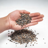 Hand holding UNS Controsand for aquariums, showcasing natural substrate for freshwater environments.