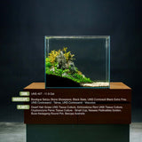 Aquascape using UNS Controsand Tahoe, highlighting a freshwater tank with diverse aquatic plants and hardscape features.