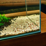 Close-up of UNS Controsand Tahoe substrate in a freshwater aquarium, showcasing natural tones and textures for aquascaping.