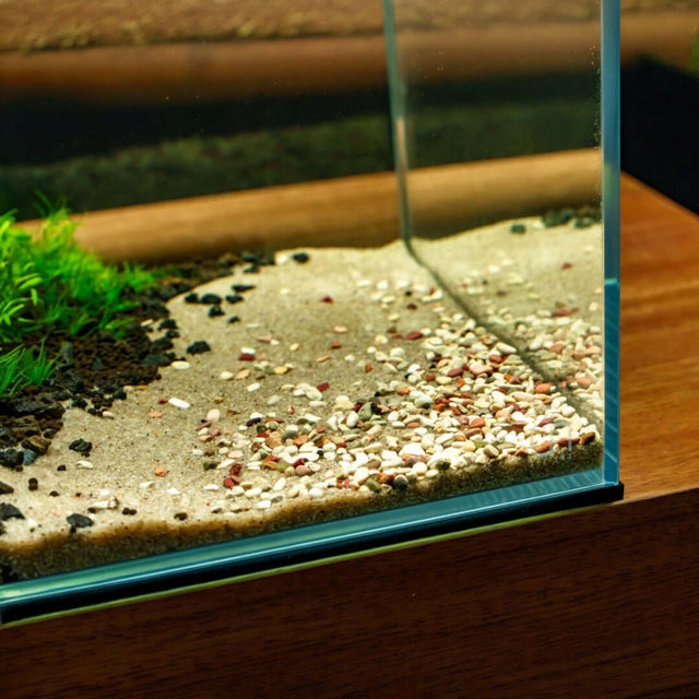 Close-up of UNS Controsand Tahoe substrate in a freshwater aquarium, showcasing natural tones and textures for aquascaping.