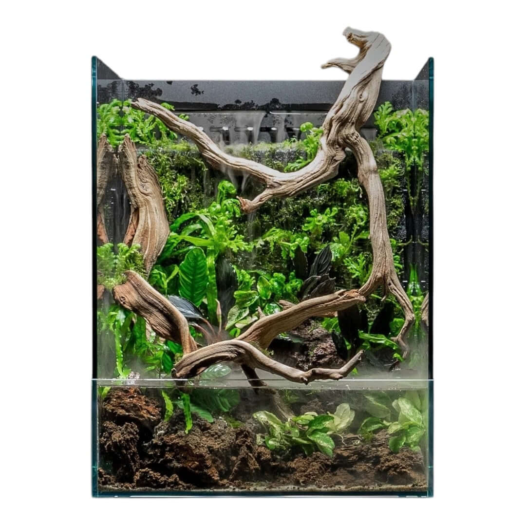 UNS Foresta Paludarium 35E showcasing an integrated filtration system, cascading waterfall, and lush plant growth.