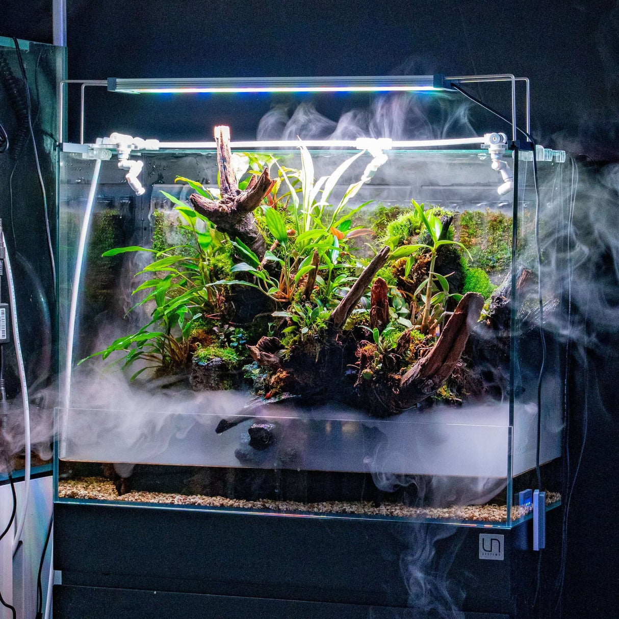UNS Foresta Paludarium 60E with lush plants and mist, showcasing a vibrant aquatic-terrestrial ecosystem.