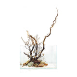 UNS Rimless Standard Aquarium Tank with driftwood and rocks, ideal for planted or reef aquascaping.