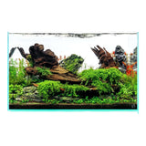 UNS Rimless Standard Aquarium Tank featuring lush greenery and natural wood elements for a stunning aquascape.