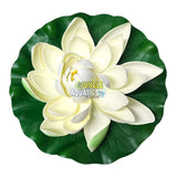 Water Lily Pond Floating Plant on green leaf, showcasing a hyper-realistic design for versatile elegance in home decor.