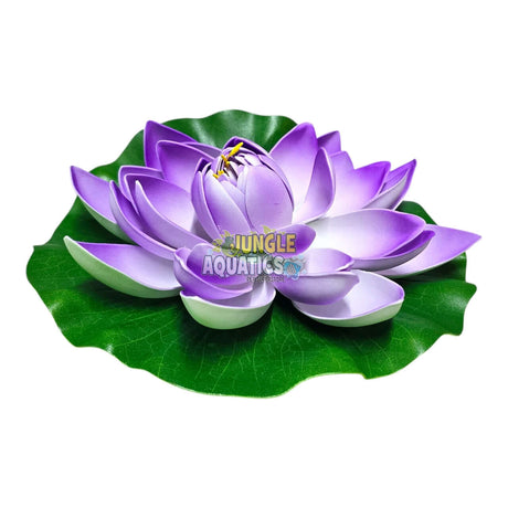 Water Lily Pond Floating Plant with vibrant purple petals and realistic green leaves for home decor.