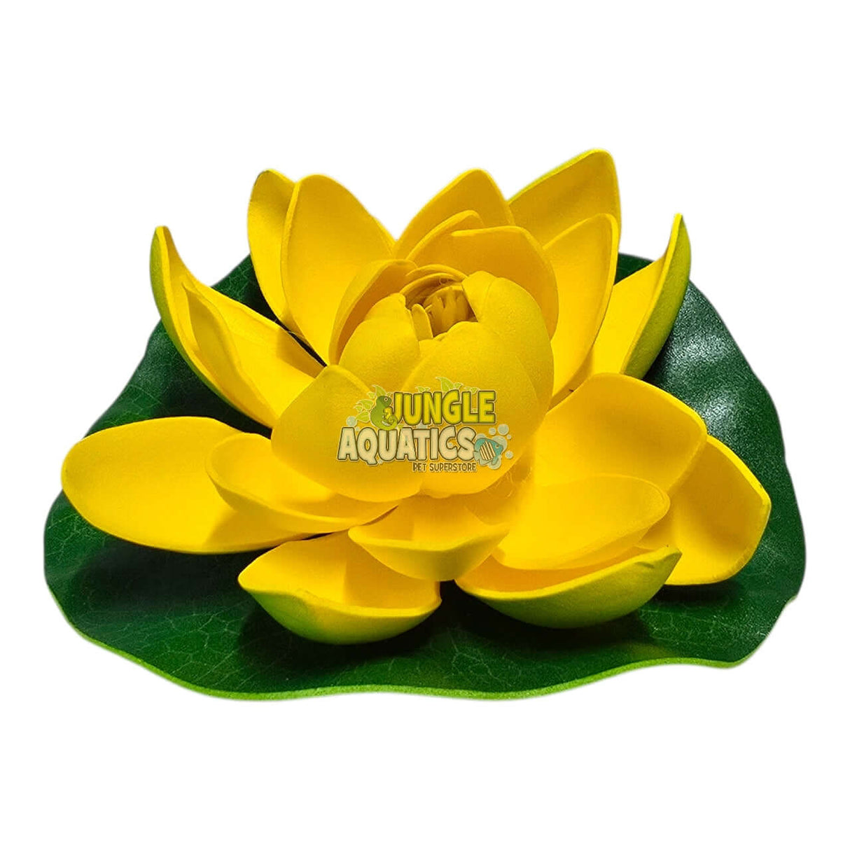 Water Lily Pond Floating Plant with vibrant yellow petals on a green leaf background, ideal for indoor decoration.