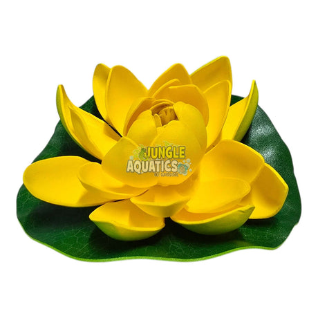 Water Lily Pond Floating Plant with vibrant yellow petals on a green leaf background, ideal for indoor decoration.