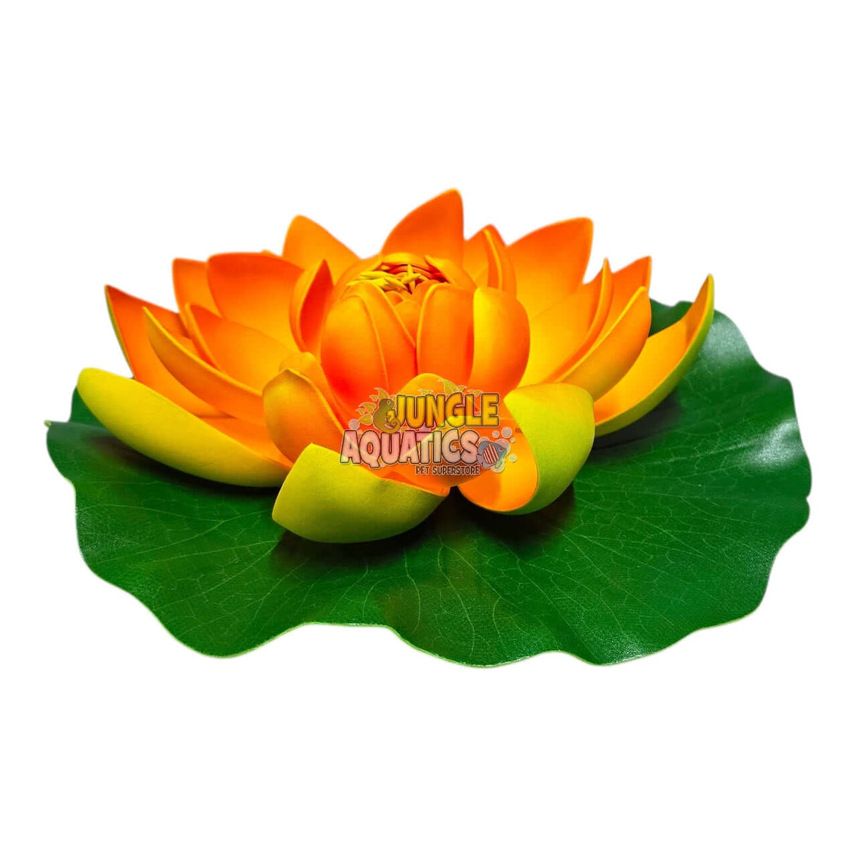 Water Lily Pond Floating Plant with vibrant orange petals and green leaves, perfect for decoration.
