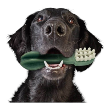 Black dog happily holding a Whimzees Toothbrush Dog Treat in its mouth for dental care and fresh breath.