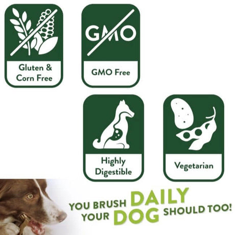 Whimzees Dog Treat benefits: gluten-free, GMO-free, highly digestible, vegetarian options for healthier pets.