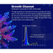 Growth channel details for Zetlight X9 Marine LED Light showing absorption spectrum for Chlorophyll C2 and effective wavelengths.