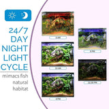 24/7 day and night light cycle for aquariums showcasing Hygger Plant LED lights at different times of the day.