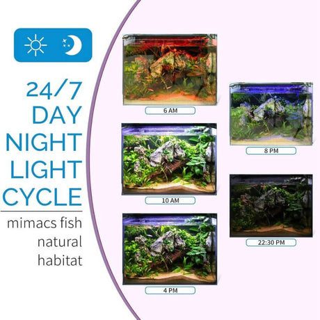24/7 day and night light cycle for aquariums showcasing Hygger Plant LED lights at different times of the day.