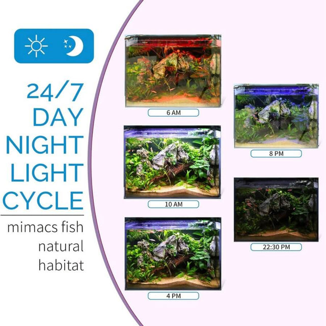 24/7 day and night light cycle for aquariums showcasing Hygger Plant LED lights at different times of the day.