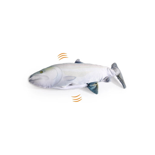 AFP Jittering Fish Sardine - Buy Online - Jungle Aquatics
