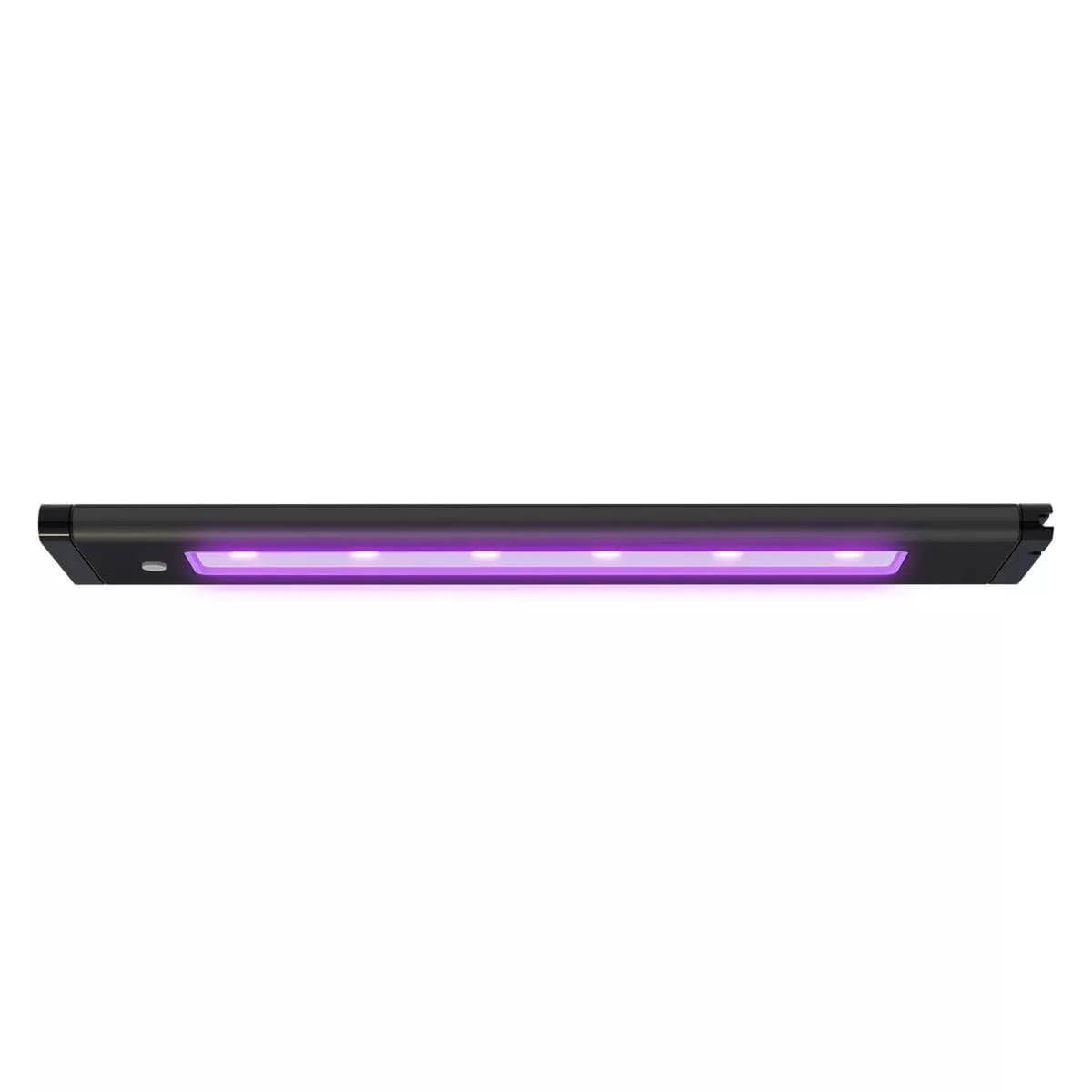 AI Blade Smart LED Strip Coral Glow with purple LEDs for aquarium lighting, enhancing visuals and growth.