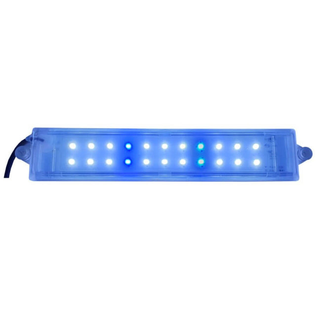 Akwaria LED Aquarium Light 5w with blue and white LEDs in waterproof housing for freshwater and marine use.