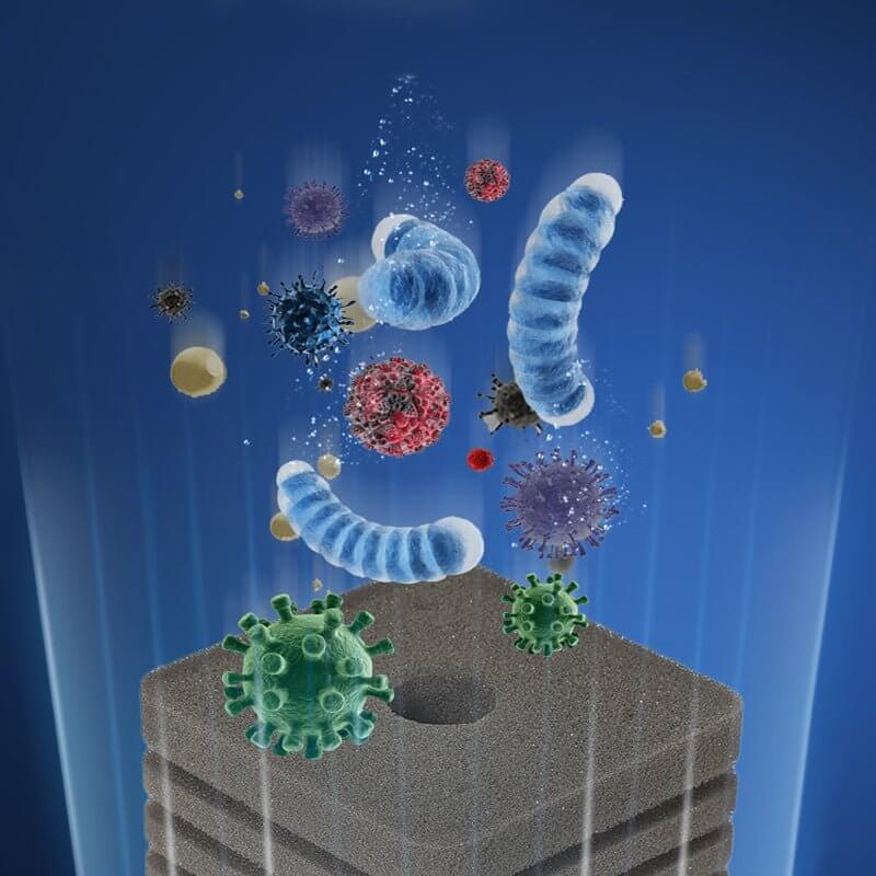 Illustration of microorganisms in water highlighting efficient filtration by Antopie Sponge and Biological Filters.