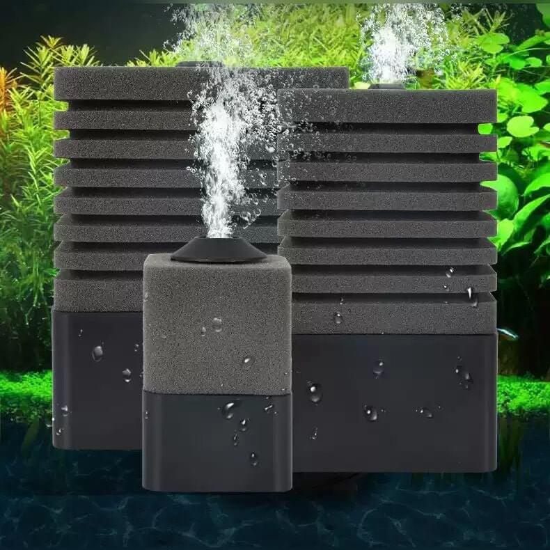 Antopie Sponge and Biological Filters with air bubbles for aquarium water quality improvement.