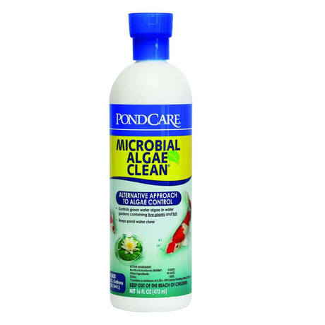 Effective Pond Algae Control Solutions