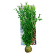 Artificial Aquarium Plastic Plant PP8506 in vibrant green, with ceramic base, ideal for fish tank decoration and low maintenance.