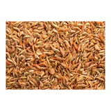 AQUAV Freeze-Dried Red Shrimp close-up, showcasing the rich texture and vibrant colors for optimal aquatic nutrition.