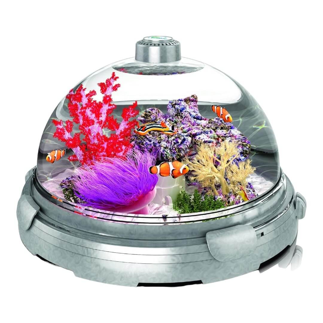 Bio Bubble Aquarium featuring colorful fish and vibrant coral in a unique 360-degree design for stunning aquatic views.