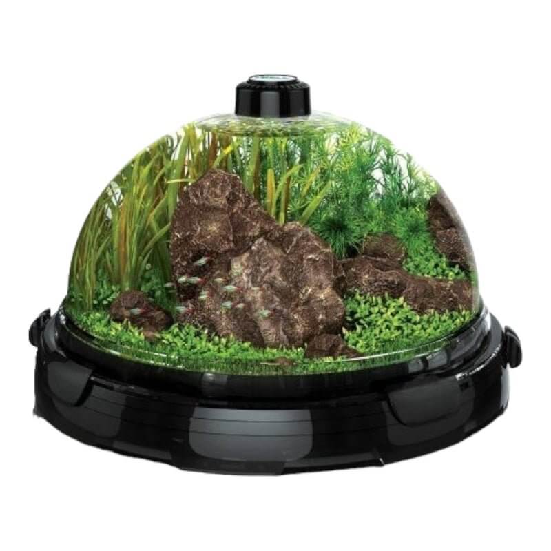 Bio Bubble Aquarium with 360-degree design featuring aquatic plants and rocks for vibrant fish keeping.