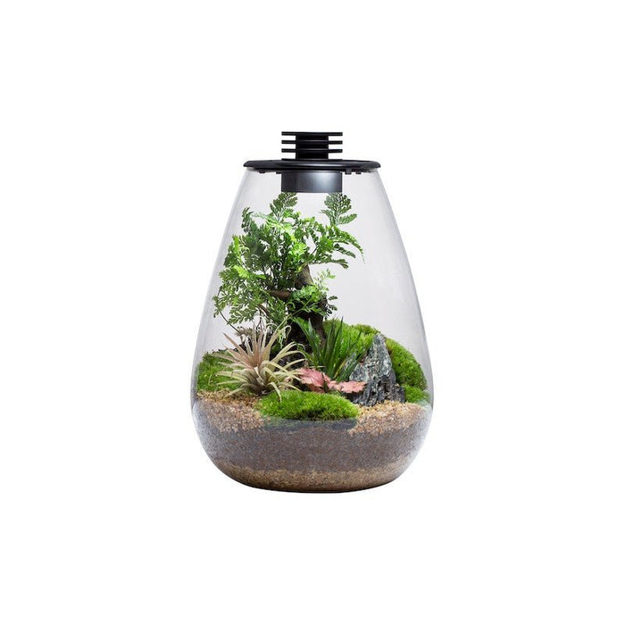 Bioloark Bio Bottle Terrarium with Power Supply - Buy Online - Jungle Aquatics