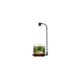Bioloark DX-03 LED lamp illuminating a mini drip jar terrarium with lush greenery and decorative elements.