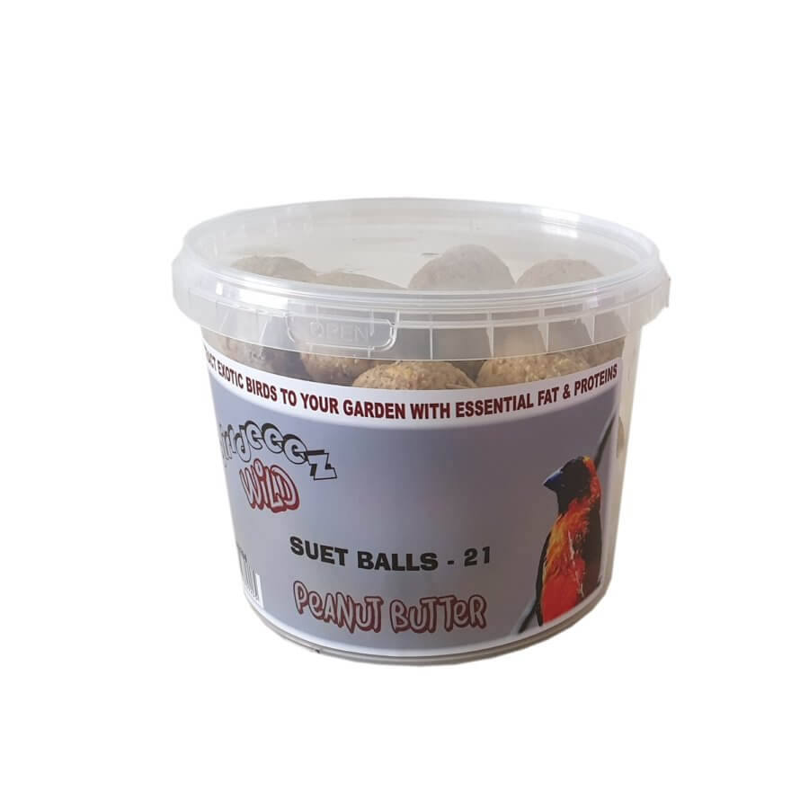 Birdies Peanut Butter Suet Balls in a clear bucket, featuring 21 high-quality bird treats for attracting feathered friends.