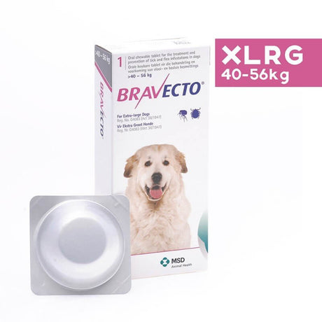 Bravecto chewable flea and tick treatment for extra-large dogs, packaging and tablet view, effective for 12 weeks.