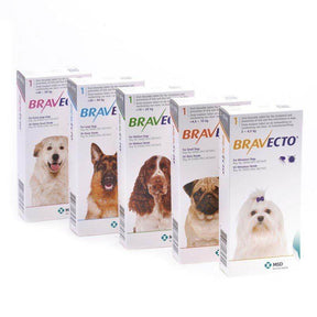 Bravecto chewable tick and flea tablets for dogs in various package sizes and designs featuring different dog breeds.