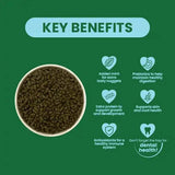 Key benefits of Burgess Excel Junior and Dwarf Rabbit Nuggets highlighting nutrition for healthy rabbits.