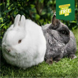 Two adorable rabbits, one white and one grey, sitting on green grass with a Muesli Free sign.